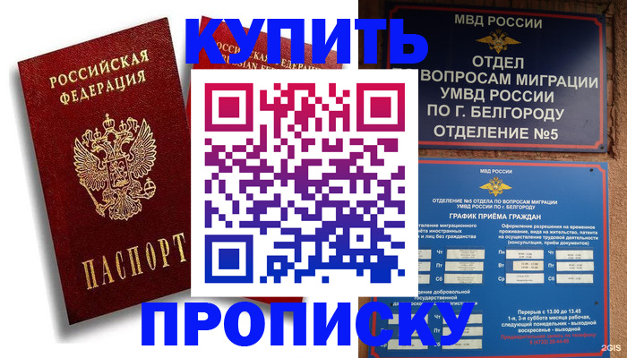 прописка иностранных граждан в Полярных Зорях